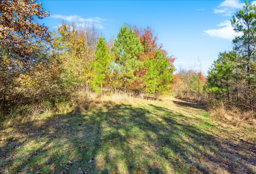 2260 REID-HOOKER RD, Unincorporated, Tennessee 38028, ,Land,For Sale,REID-HOOKER,10186423
