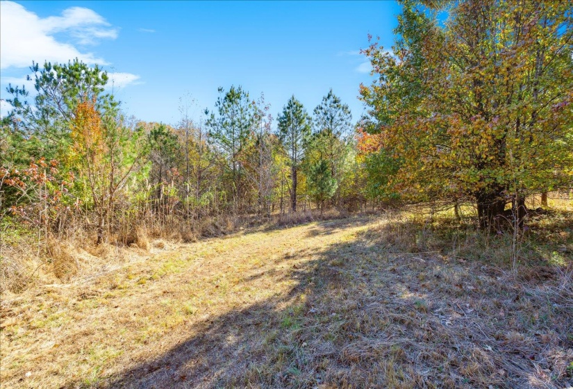 2260 REID-HOOKER RD, Unincorporated, Tennessee 38028, ,Land,For Sale,REID-HOOKER,10186423