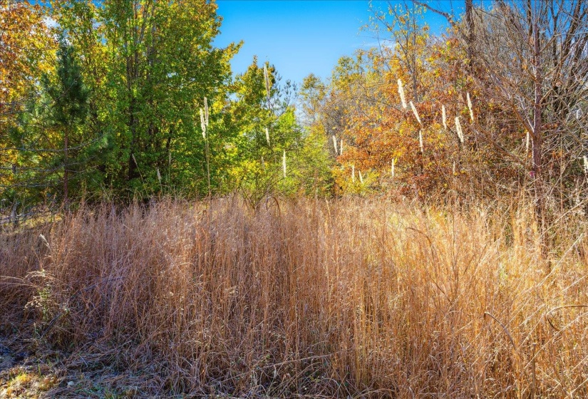 2260 REID-HOOKER RD, Unincorporated, Tennessee 38028, ,Land,For Sale,REID-HOOKER,10186423