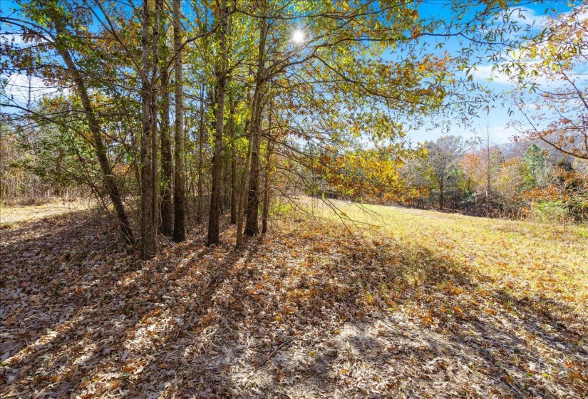 2260 REID-HOOKER RD, Unincorporated, Tennessee 38028, ,Land,For Sale,REID-HOOKER,10186423