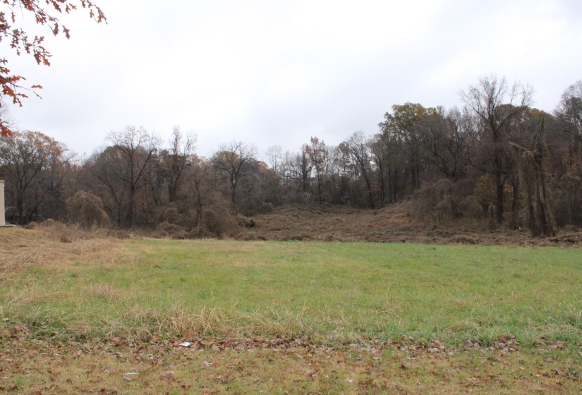 300 WASHINGTON ST, Ripley, Tennessee 38063, ,Land,For Sale,WASHINGTON,10186458