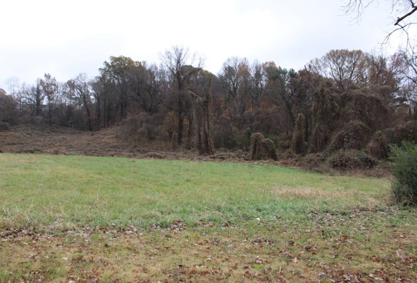 300 WASHINGTON ST, Ripley, Tennessee 38063, ,Land,For Sale,WASHINGTON,10186458