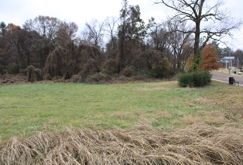 300 WASHINGTON ST, Ripley, Tennessee 38063, ,Land,For Sale,WASHINGTON,10186458