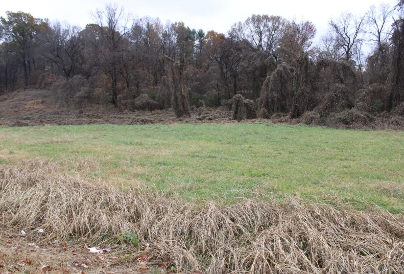 300 WASHINGTON ST, Ripley, Tennessee 38063, ,Land,For Sale,WASHINGTON,10186458