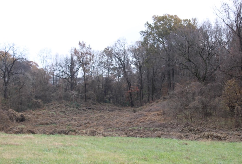 300 WASHINGTON ST, Ripley, Tennessee 38063, ,Land,For Sale,WASHINGTON,10186458