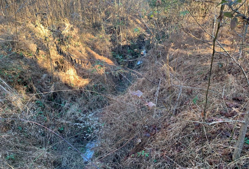 3 SULPHUR SPRINGS RD, Selmer, Tennessee 38375, ,Land,For Sale,SULPHUR SPRINGS,10186525