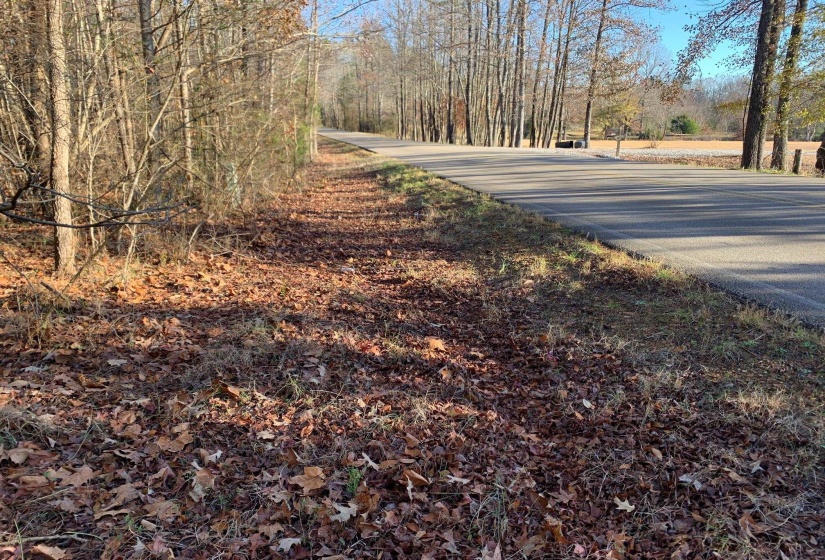 3 SULPHUR SPRINGS RD, Selmer, Tennessee 38375, ,Land,For Sale,SULPHUR SPRINGS,10186525