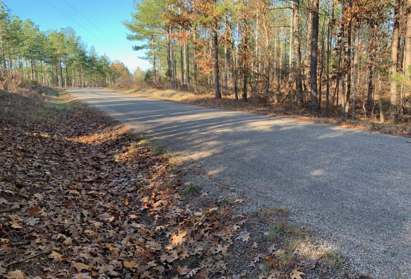 11 WARREN FLOYD RD, Selmer, Tennessee 38375, ,Land,For Sale,WARREN FLOYD,10186527
