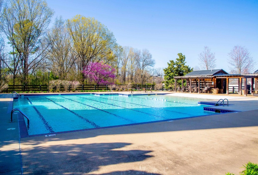 364 BLACK DUKE CIRCLE WEST CIR, Collierville, Tennessee 38017, ,Land,For Sale,BLACK DUKE CIRCLE WEST,10186612