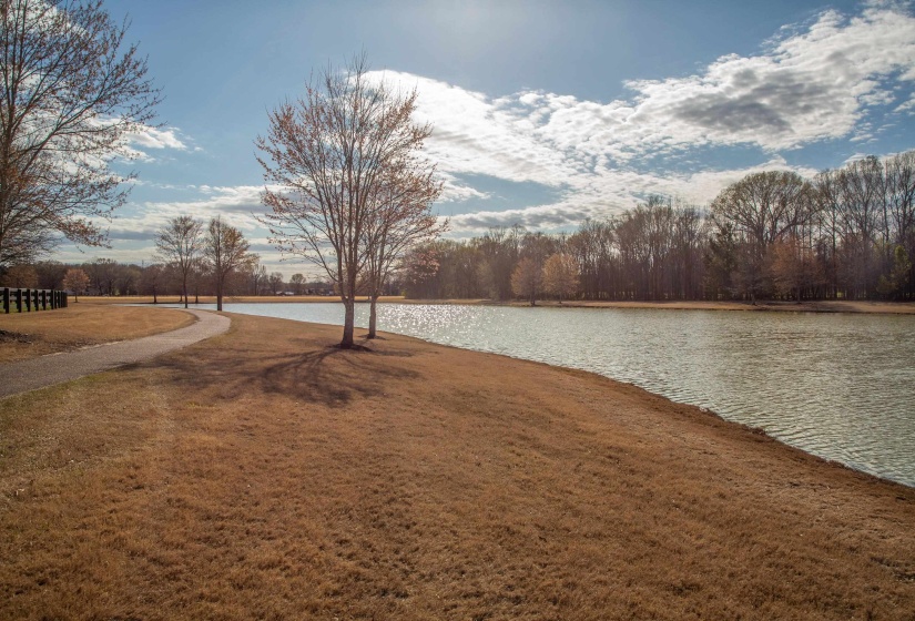 364 BLACK DUKE CIRCLE WEST CIR, Collierville, Tennessee 38017, ,Land,For Sale,BLACK DUKE CIRCLE WEST,10186612