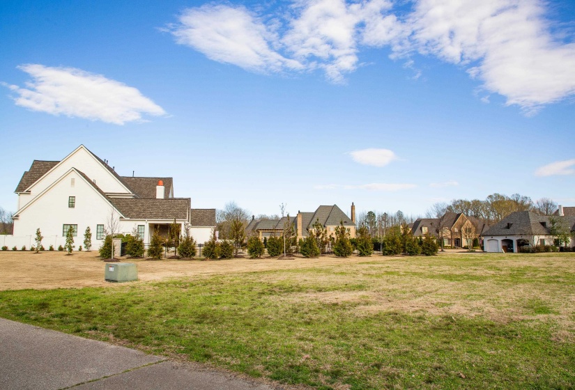 364 BLACK DUKE CIRCLE WEST CIR, Collierville, Tennessee 38017, ,Land,For Sale,BLACK DUKE CIRCLE WEST,10186612