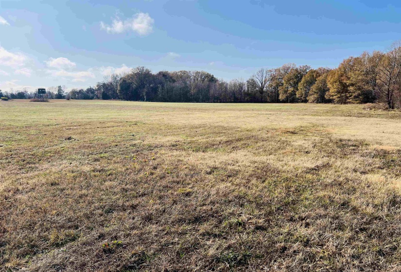 View of yard with a rural view