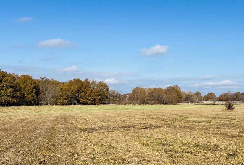 View of yard featuring a rural view