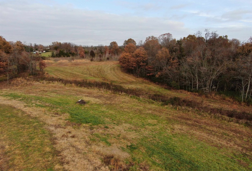 View of local wilderness with a rural view