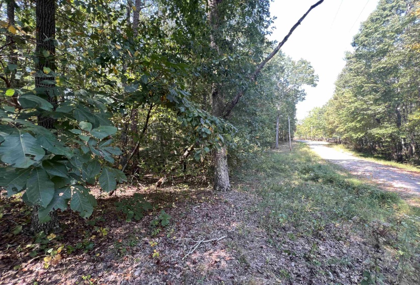 0058 JOANNE LOOP, Savannah, Tennessee 38372, ,Land,For Sale,JOANNE,10186875