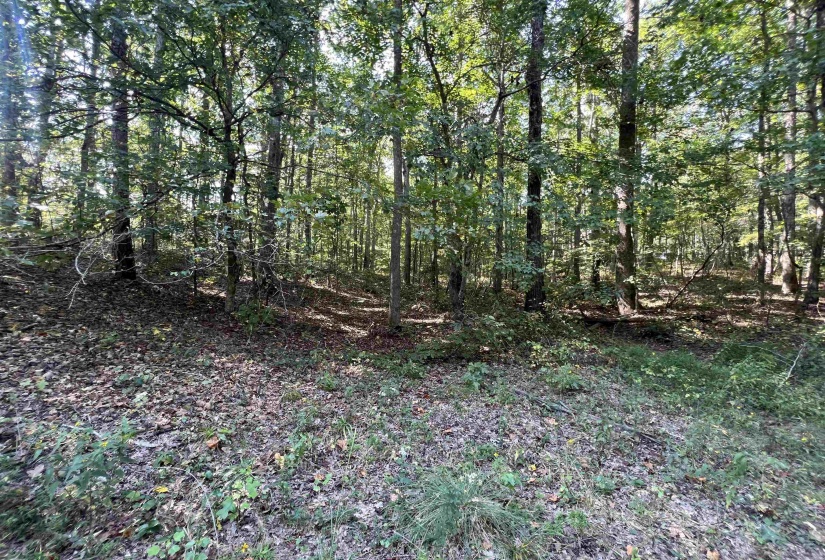 0058 JOANNE LOOP, Savannah, Tennessee 38372, ,Land,For Sale,JOANNE,10186875