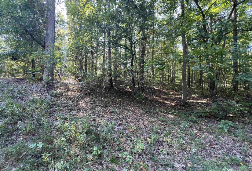 0058 JOANNE LOOP, Savannah, Tennessee 38372, ,Land,For Sale,JOANNE,10186875