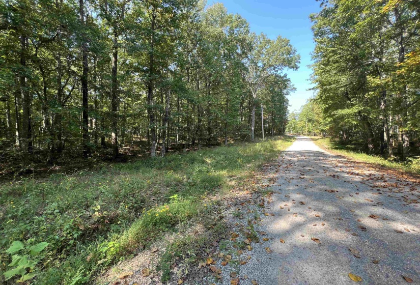 0058 JOANNE LOOP, Savannah, Tennessee 38372, ,Land,For Sale,JOANNE,10186875