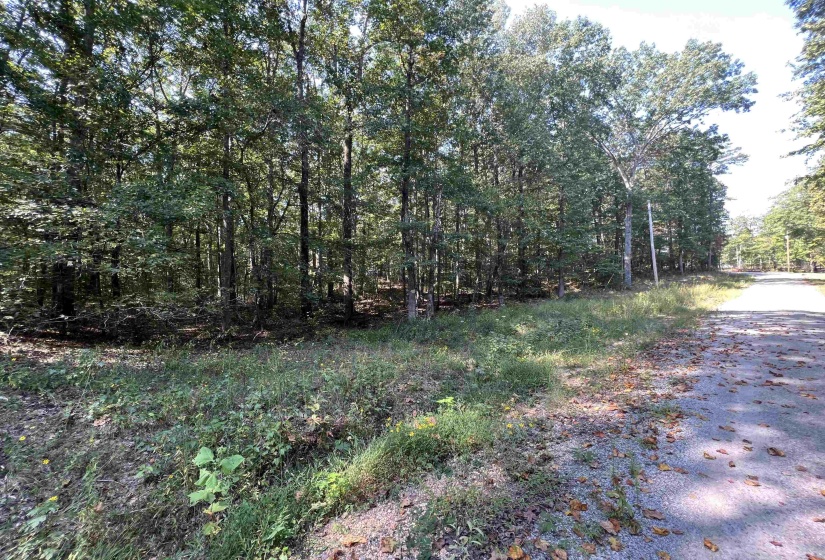 0058 JOANNE LOOP, Savannah, Tennessee 38372, ,Land,For Sale,JOANNE,10186875