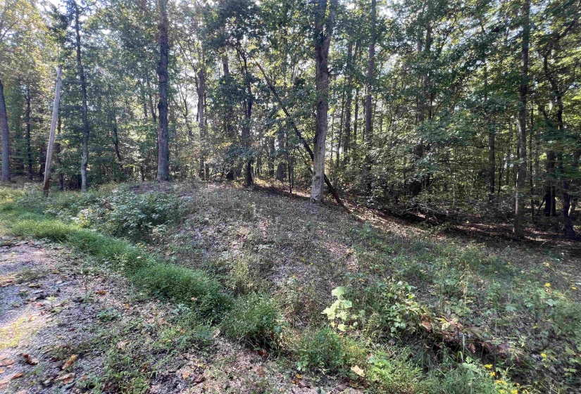 0058 JOANNE LOOP, Savannah, Tennessee 38372, ,Land,For Sale,JOANNE,10186875