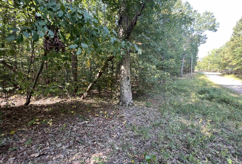 0058 JOANNE LOOP, Savannah, Tennessee 38372, ,Land,For Sale,JOANNE,10186875