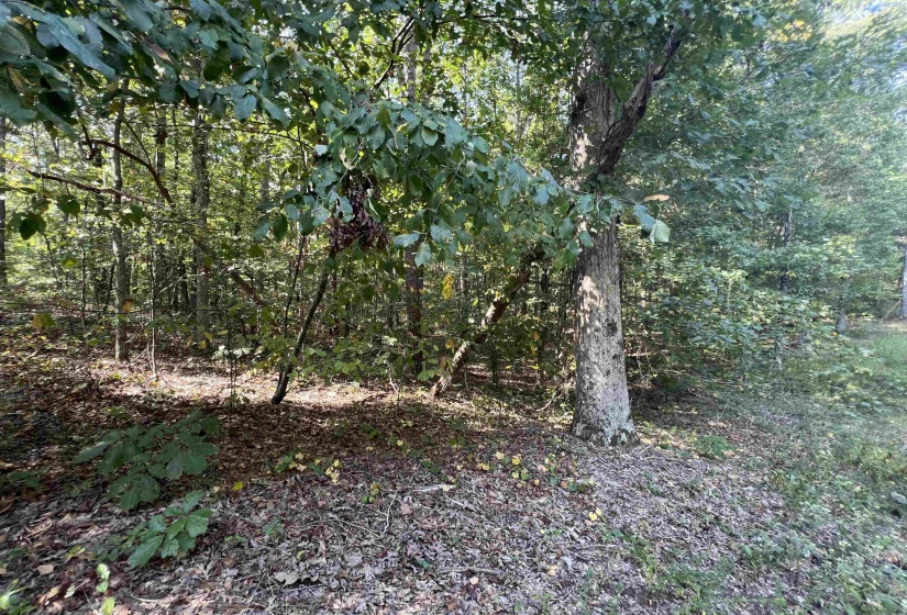 0058 JOANNE LOOP, Savannah, Tennessee 38372, ,Land,For Sale,JOANNE,10186875