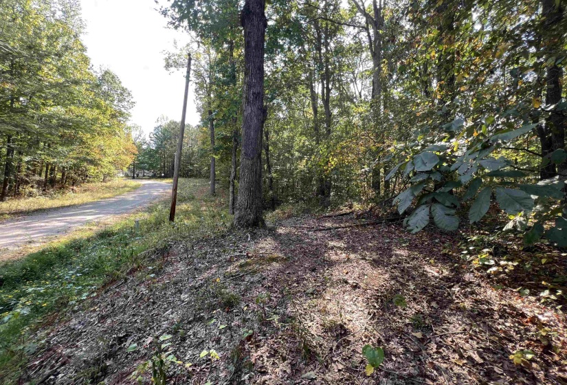 0058 JOANNE LOOP, Savannah, Tennessee 38372, ,Land,For Sale,JOANNE,10186875