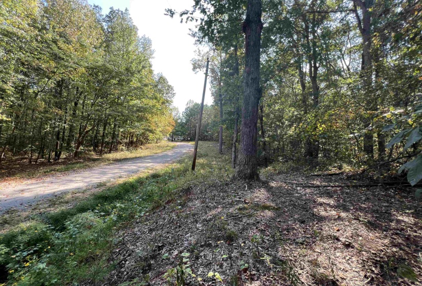 0058 JOANNE LOOP, Savannah, Tennessee 38372, ,Land,For Sale,JOANNE,10186875