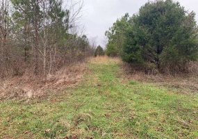 9 SULPHUR SPRINGS RD, Selmer, Tennessee 38375, ,Land,For Sale,SULPHUR SPRINGS,10186912