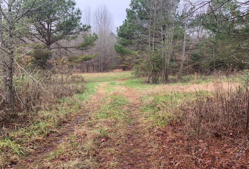 9 SULPHUR SPRINGS RD, Selmer, Tennessee 38375, ,Land,For Sale,SULPHUR SPRINGS,10186912