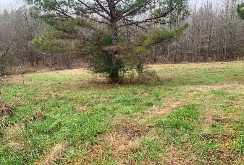 9 SULPHUR SPRINGS RD, Selmer, Tennessee 38375, ,Land,For Sale,SULPHUR SPRINGS,10186912