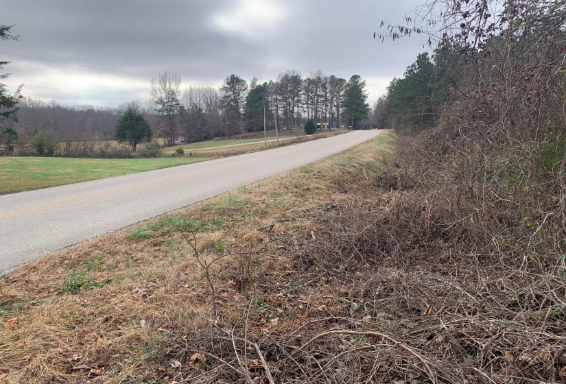 9 SULPHUR SPRINGS RD, Selmer, Tennessee 38375, ,Land,For Sale,SULPHUR SPRINGS,10186912