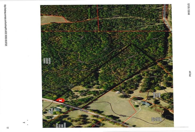 9 SULPHUR SPRINGS RD, Selmer, Tennessee 38375, ,Land,For Sale,SULPHUR SPRINGS,10186912