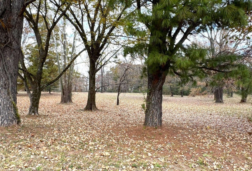 0 MACON RD, Cordova, Tennessee 38016, ,Land,For Sale,MACON,10186997