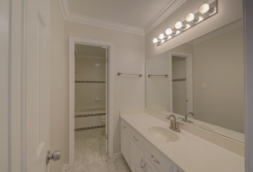 Bathroom featuring vanity, toilet, and crown molding