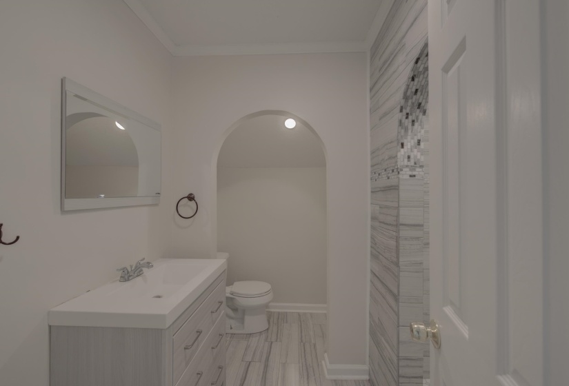 Bathroom with vanity, toilet, and ornamental molding
