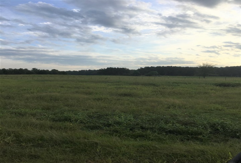 20 BUTLER LANE LN, Other, Mississippi 39428-000, ,Land,For Sale,BUTLER LANE,10187950