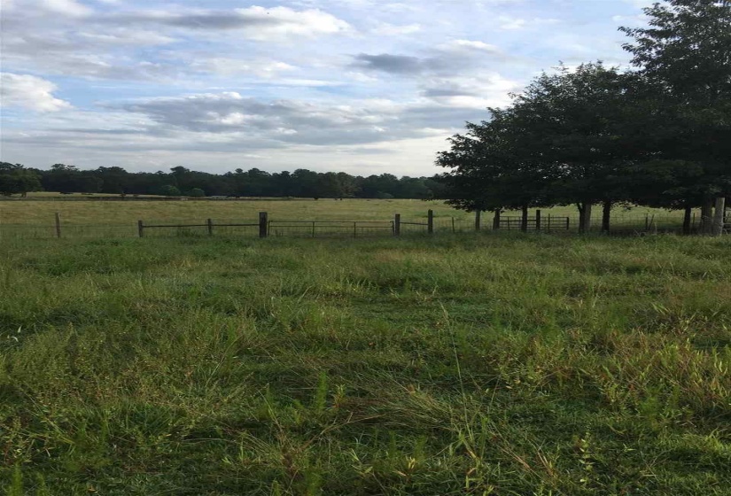 20 BUTLER LANE LN, Other, Mississippi 39428-000, ,Land,For Sale,BUTLER LANE,10187950