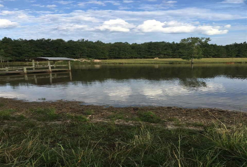 20 BUTLER LANE LN, Other, Mississippi 39428-000, ,Land,For Sale,BUTLER LANE,10187950