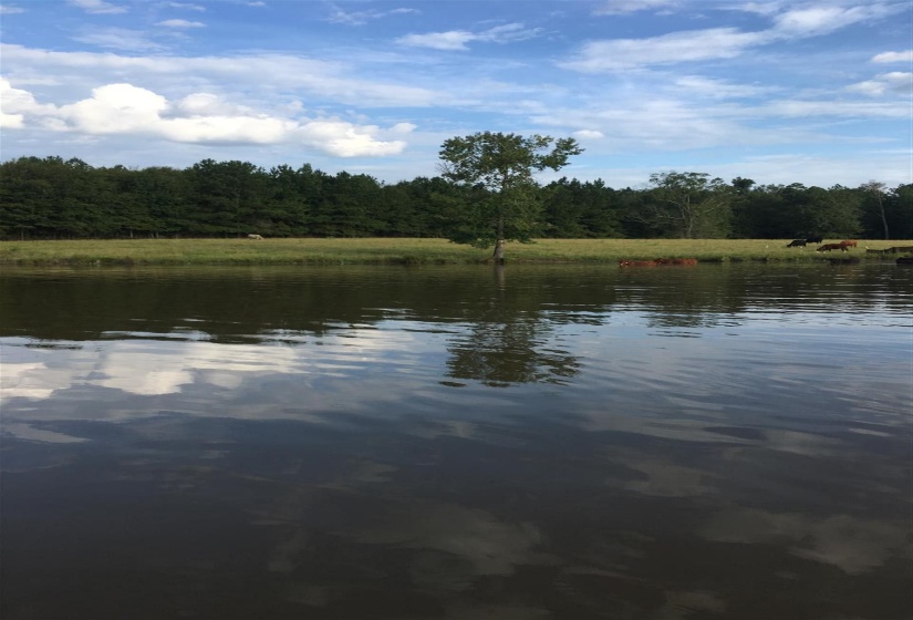 20 BUTLER LANE LN, Other, Mississippi 39428-000, ,Land,For Sale,BUTLER LANE,10187950