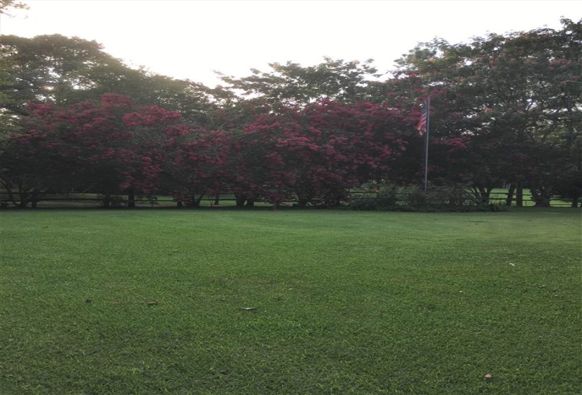 20 BUTLER LN, Other, Mississippi 39428, 3 Bedrooms Bedrooms, 12 Rooms Rooms,2 BathroomsBathrooms,Residential,For Sale,BUTLER,10187954