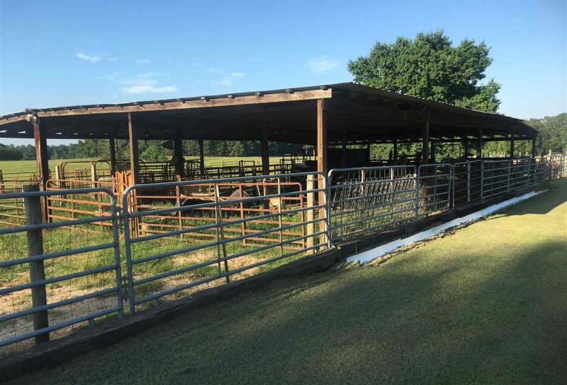 20 BUTLER LN, Other, Mississippi 39428, 3 Bedrooms Bedrooms, 12 Rooms Rooms,2 BathroomsBathrooms,Residential,For Sale,BUTLER,10187954