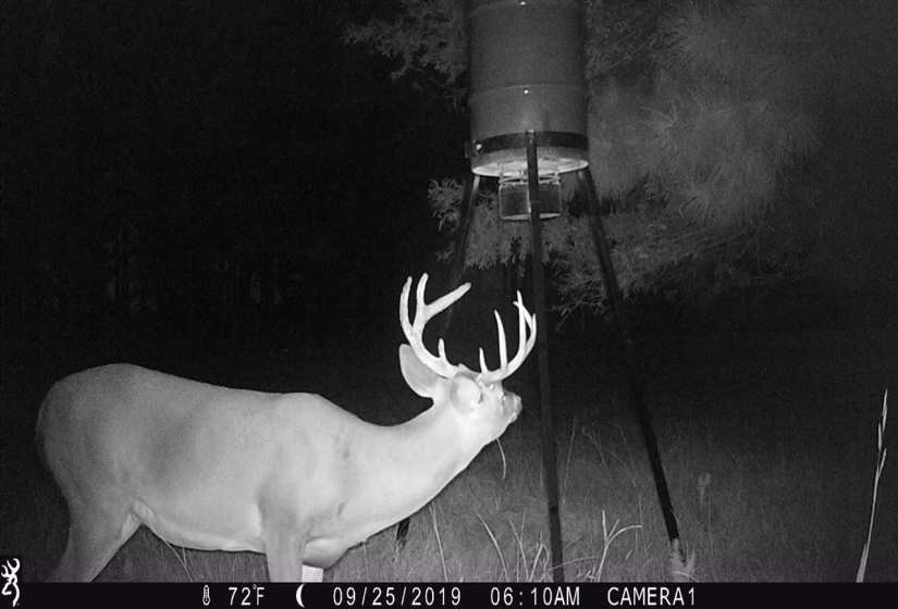 20 BUTLER LN, Other, Mississippi 39428, 3 Bedrooms Bedrooms, 12 Rooms Rooms,2 BathroomsBathrooms,Residential,For Sale,BUTLER,10187954