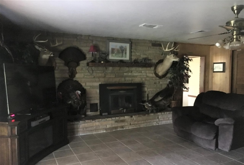Tile floors  with book cases on one wall. Tile floors and stone fire place with insert.