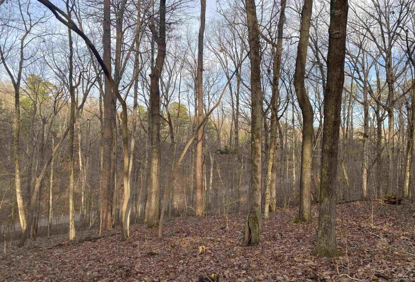 0 BRUTON BRANCH RD, Savannah, Tennessee 38372, ,Land,For Sale,BRUTON BRANCH,10140169