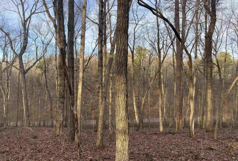 0 BRUTON BRANCH RD, Savannah, Tennessee 38372, ,Land,For Sale,BRUTON BRANCH,10140169