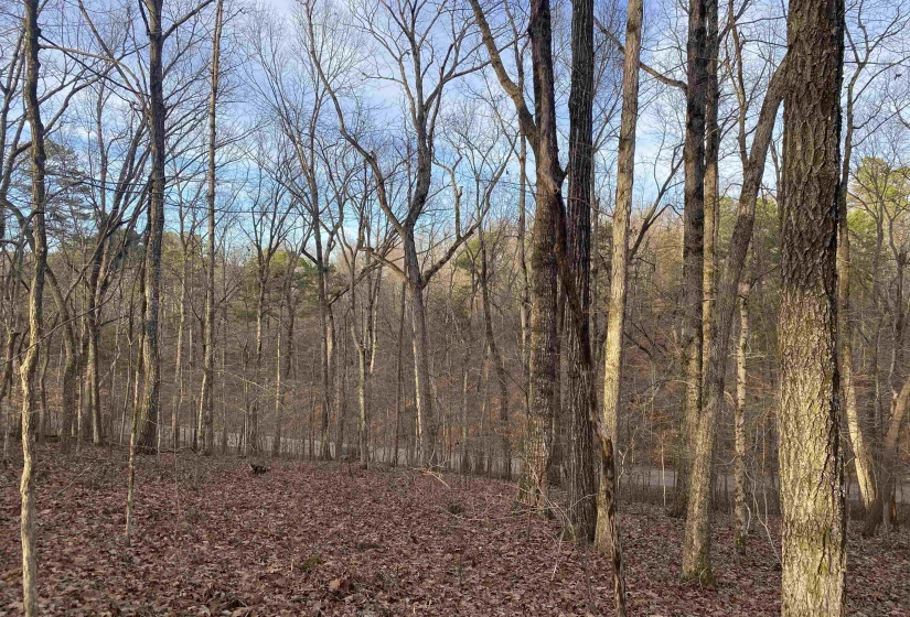 0 BRUTON BRANCH RD, Savannah, Tennessee 38372, ,Land,For Sale,BRUTON BRANCH,10140169