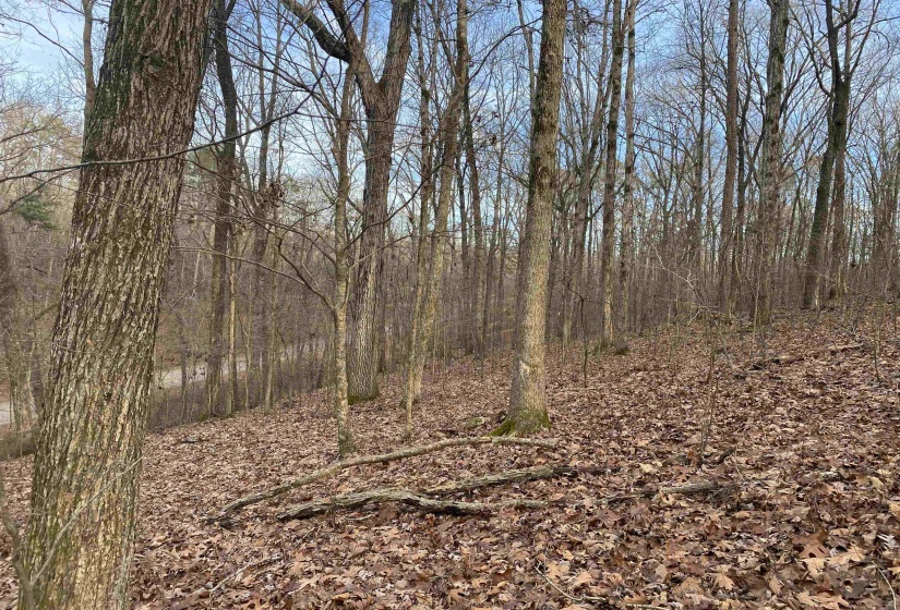 0 BRUTON BRANCH RD, Savannah, Tennessee 38372, ,Land,For Sale,BRUTON BRANCH,10140169