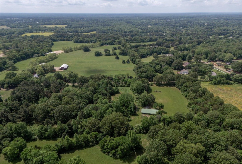 Bird's eye view featuring a forest view