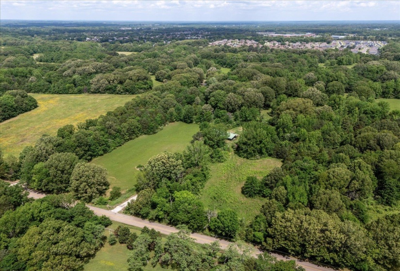 Bird's eye view with a forest view